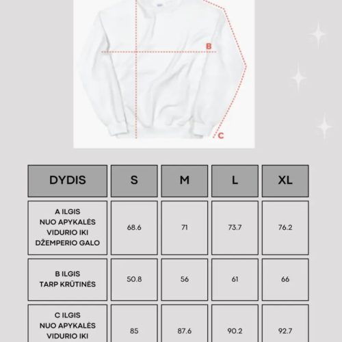 Siuvinėtas Unisex džemperis - Ir Tai Praeis - BŪK. ČIA. DABAR.