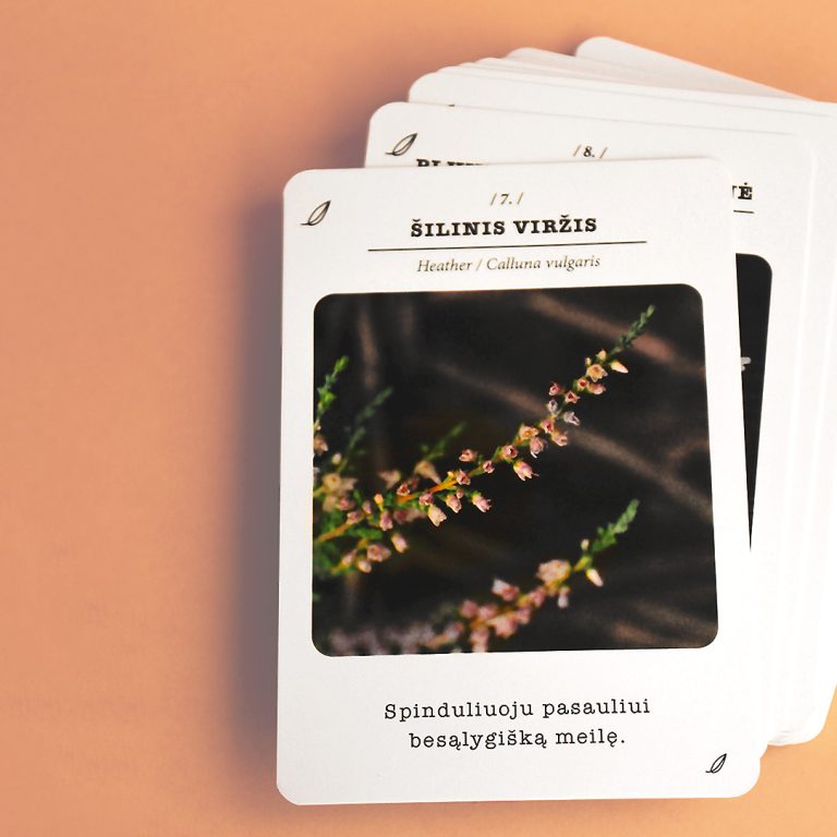 „Pažink save“ afirmacinės kortos ir knyga pagal dr. Bacho žiedų terapiją